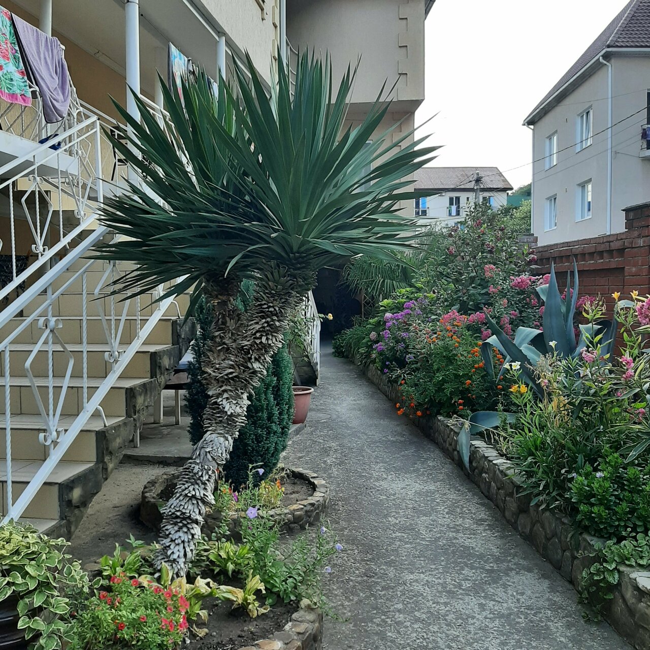 Гостевой дом OnTheSea Туапсе-98