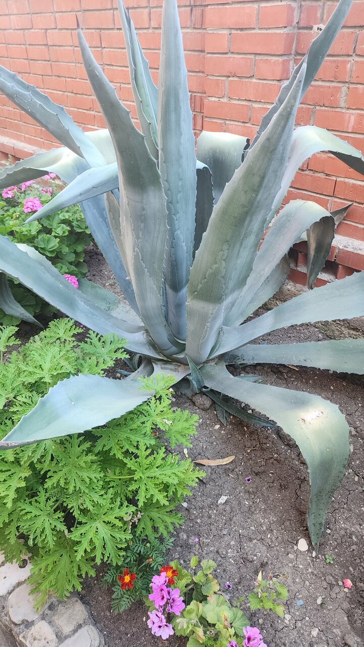 Гостевой дом OnTheSea Туапсе-31