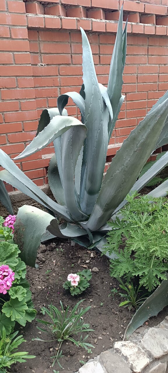 Гостевой дом OnTheSea Туапсе-130